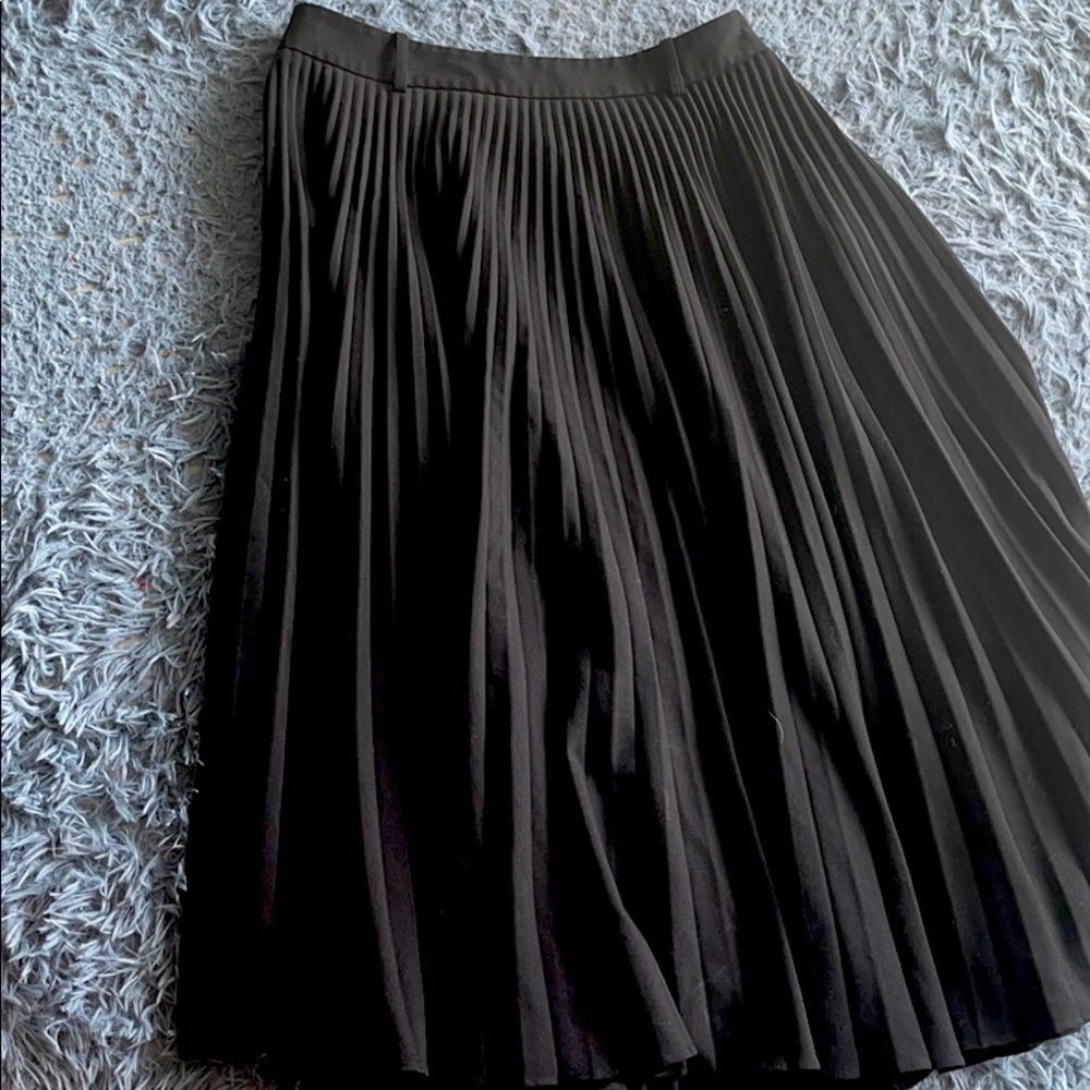 Beautiful pleated skirt from Zara.